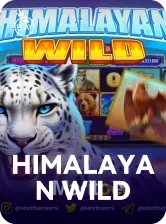 Himalayan Wild