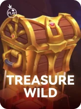 Treasure Wild