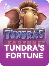 Tundra's Fortune