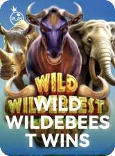 Wild Wildebeest Wins